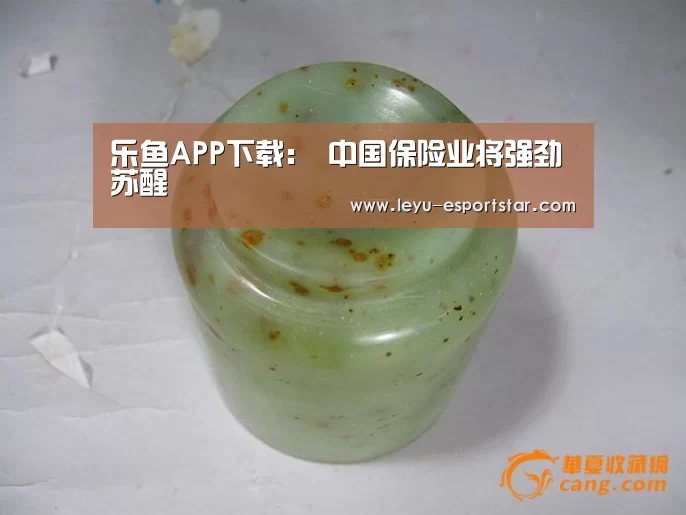 乐鱼APP下载:
中国保险业将强劲苏醒(图3) 乐鱼电竞APP