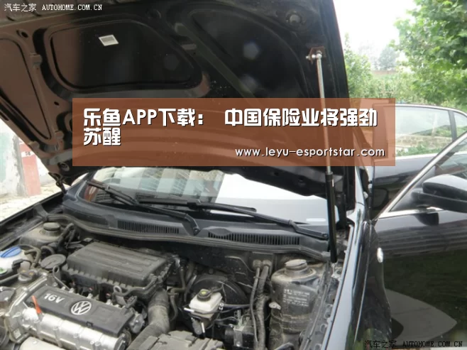 乐鱼APP下载:
中国保险业将强劲苏醒(图4) 乐鱼电竞APP