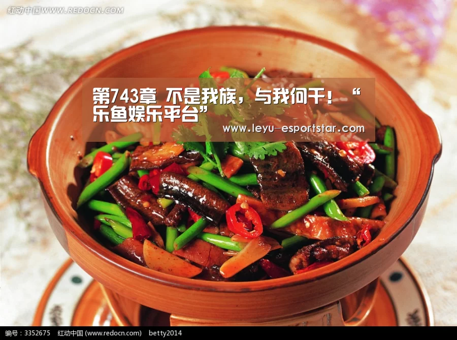 乐鱼官网